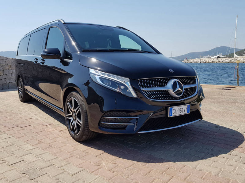 Mercedes Viano Portisco