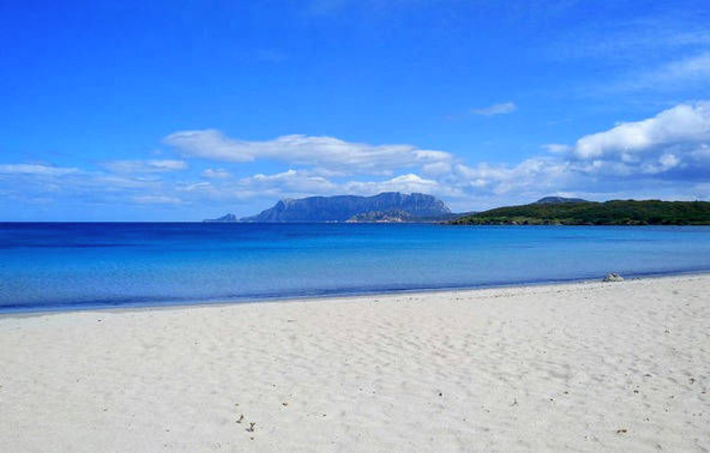 noleggio con conducente olbia spiaggia ncc