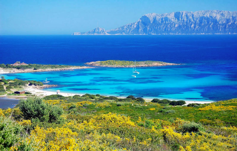 olbia transfer città mare con conducente ncc